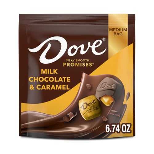 ?? ???? ??? ?? ??? ?? 7.61?? ?? (8? ?) DOVE PROMISES Chocolate Caramel Candy, Milk Chocolate Candy, 6.74 Oz Bag (Pack of 8)