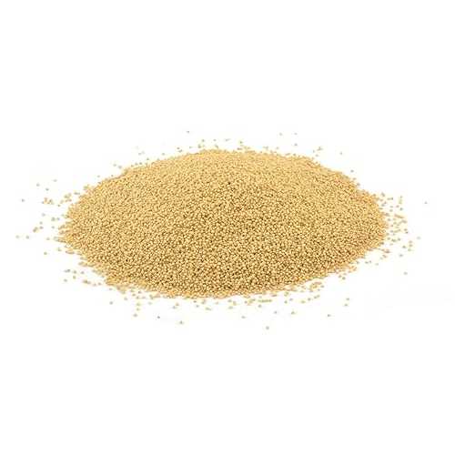 100% ??? ??? ???? ?? (18???) PRIMAL HARVEST Organic Whole Grain Amaranth Grain Seeds non-GMO RAW non-GMO Vegan Bulk (18LB)