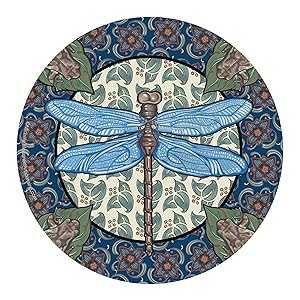 Thirstystone Apple Dragonfly Natural Sandstone Coaster 4 Pack Eco-Friendly, Absorbent, Easily Wipes Clean