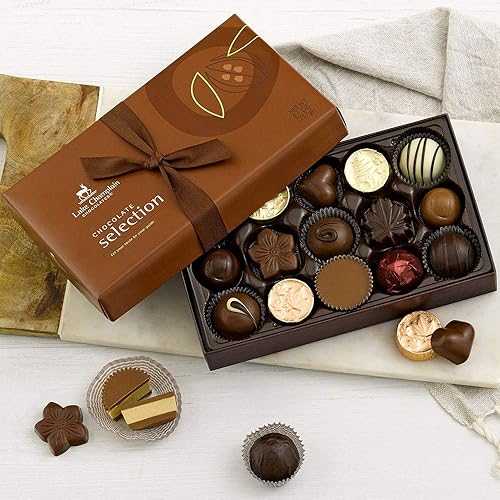レイク シャンプレーン グルメ チョコレート アソート ギフトボックス、15 個、9 オンス Lake Champlain Chocolates Lake Champlain Gourmet Chocolate Assortment Gift Box, 15 Pieces, 9 Ounces