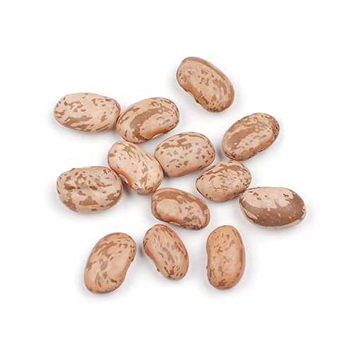 D'allesandro 25 lbs. Dry Pinto Beans, Certified Kosher & Non-GMO Angelina's Gourmet D allesandro 25 lbs. Dry Pinto Beans, Certified Kosher & Non-GMO