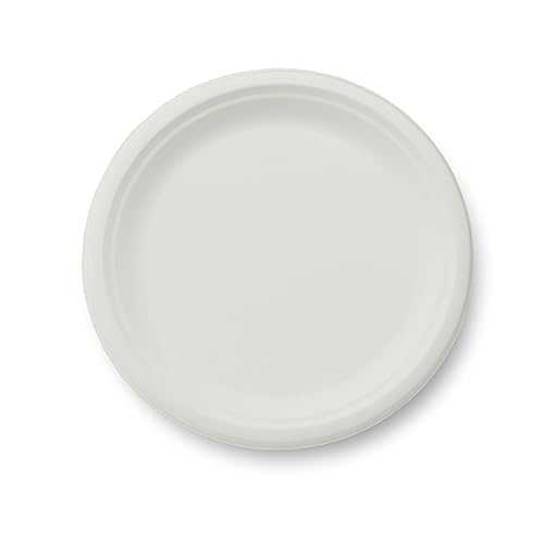 Stalkmarket 100% Compostable Natural Plant Fiber Plate, 10-Inch, 500-Count Case 食器・カトラリー・グラス-皿・プレート-キッチン用品・食器・調理器具