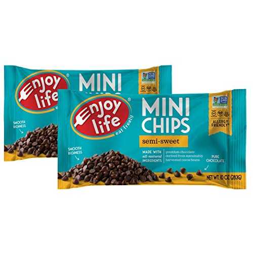 エンジョイライフ セミスイートチョコレートミニチップス、10オンス、2個パック Enjoy Life Semi-sweet Chocolate Mini Chips, 10 Ounce, Pack of 2