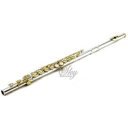 Sky Silver Plated Gold Keys Closed Hole C Flute with 1 Year Manufacturer Warranty with Lightweight Case, Cleaning Rod, Cloth, Joint Grease and Screw Driver