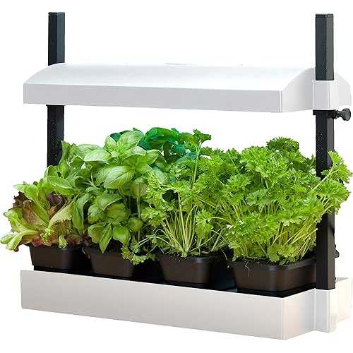 SunBlaster T5HO Indoor Micro Growlight Garden, Home Growing Kit, White