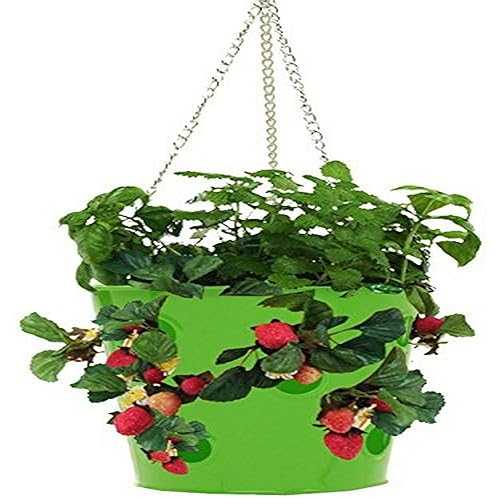 HIT 8396E AG Galvanized Hanging Strawberry Herb Floral Planter, Apple Green