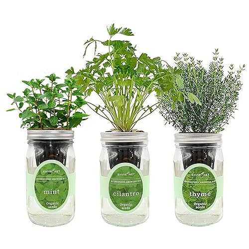 Environet Hydroponic Growing Kit Set, Self-Watering Mason Jar Herb Garden Starter Kit Indoor, Window Herb Garden, Grow Your Own Herbs from Organic Seeds (Mint, Cilantro and Thyme)