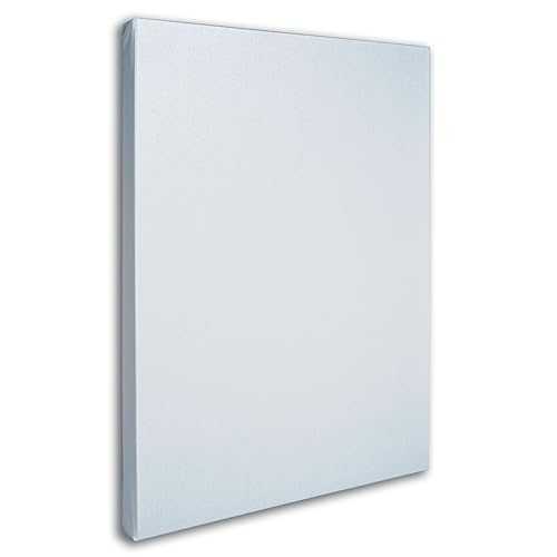 商標ファインアートプロフェッショナルの空白の白いキャンバス、ストレッチャーバー、24 x 32インチ Trademark Fine Art Professional Blank White Canvas on Stretcher Bars, 24 by 32-Inch 10,354円