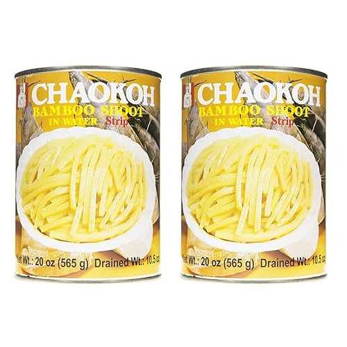 チャオコー たけのこ水煮(短冊) 565g 2パック Chaokoh Bamboo Shoot in Water (Strip) 565g, 2 Pack 7,045円