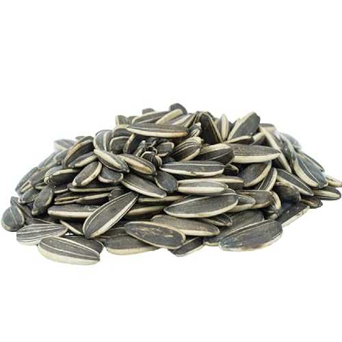 Gerbs Jumbo Raw Whole Sunflower Seeds 2 lbs. | No Artificial Additives, Shell-On, Resealable Bag | Crack-and-Eat Crunchy Snack | Top 14 Allergen-Free