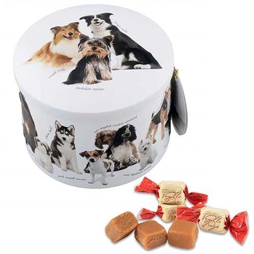 Gardiners of Scotland Handmade Fudge, Dogs Vanilla Fudge 7 Ounce Round Tin
