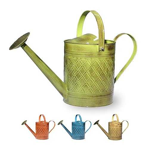 Robert Allen Home \u0026 Garden MPT01500 Wexley Metal Watering Can, 2 Gallon, Tansy Green