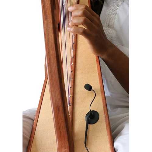 Myers Pickups The Feather Modern Lever Harp Microphone with Flexible Micro-Gooseneck Myers Pickups The Feather Modern Lever Harp Microphone with Flexible Micro-Gooseneck