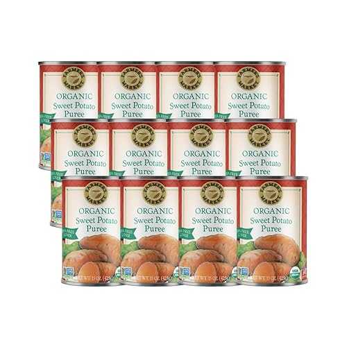 Farmer\u0027s Market Organic Sweet Potato Puree, 15 Ounce (Pack of 12)