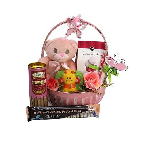 ギフトバスケットヴィレッジ リトルし損ない 御姉さんの乳飲み子向け差し上げ物仕掛ける Gift Basket Village - Little Miss Gift Basket: Cookies, Plush, Piggy Bank, and More, Perfect for Girls, Handcrafted インチ the USA