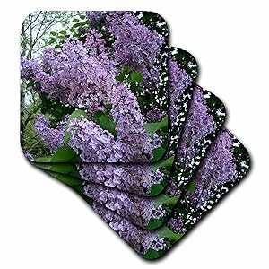 3dRose cst_3139_3 ライラックセラミックタイルコースター、4枚セット 3dRose cst_3139_3 Lilac-Ceramic Tile Coasters, Set of 4