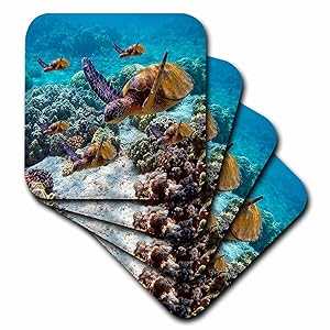 3dRose Sea Turtles - Ceramic Tile Coasters, set of 4