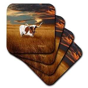 3dRose CST_62229_3 A Texas Longhorn Ceramic Tile Coasters, Set of 4