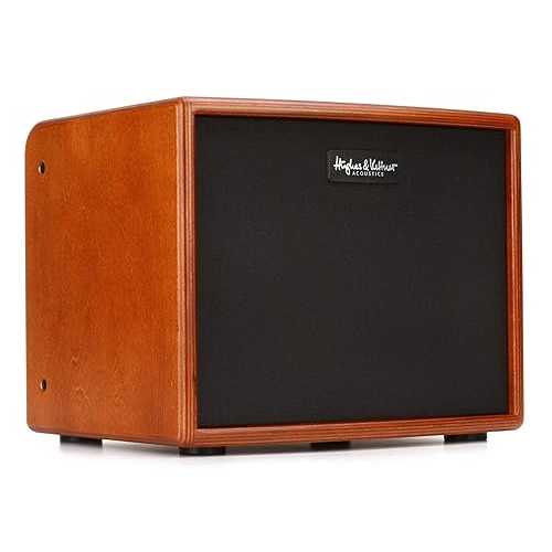 Hughes \u0026 Kettner ERA 1 250-Watt Acoustic Combo Amp - Wood