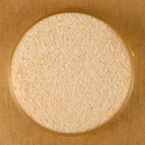 ガーリックソルト - 5重量ポンド バルク Spices For Less Garlic Salt - 5 lbs Bulk