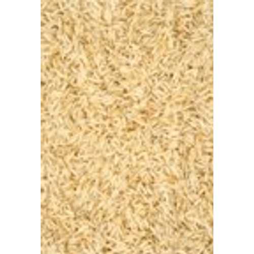 Bulk Grains Basmati Rice Brown 50 Lbs
