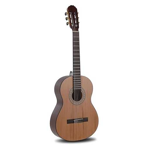 LUTHIER MANUEL RODR・・GUEZ Caballero by MR 3/4 Principio solid cedar