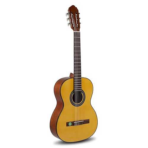 GEWA 7/8 Student, solid spruce