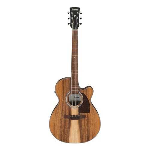 Ibanez パソコン50WSCE Acoustic-electric Guitar - Open-pore Natural