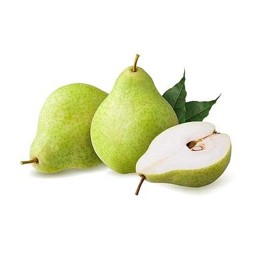 OliveNation Pear Extract from Natural Flavors, TTB-Approved Flavoring for Brewing, Baking, Beverages, Sugar Free, Non-GMO, Kosher, Vegan - 1 ガロン