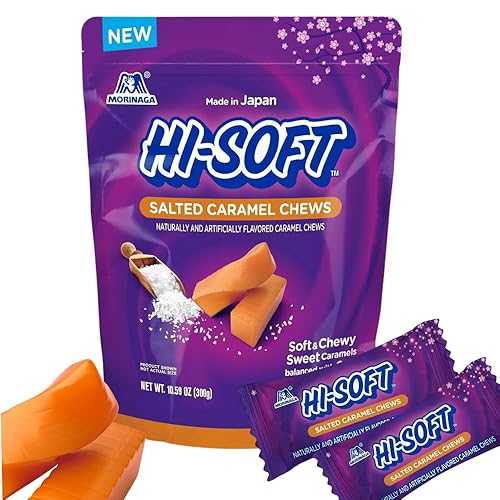 HI-SOFT Salted Caramel Chews, 5 Stand Up Pouches, 10.59 薬局衡オンス - Soft, Taffy Salted Caramel Chewy Candy for Sharing Treats - Bulk Candy Individually Wrapped
