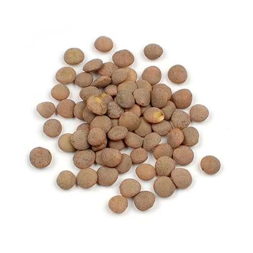 Organic Brown Lentils, 10 重量ポンド USDA Certified Whole Dried Lentils, Nutty Flavor \u0026 Firm Texture, Bulk Pantry Staple by Woodland Gourmet