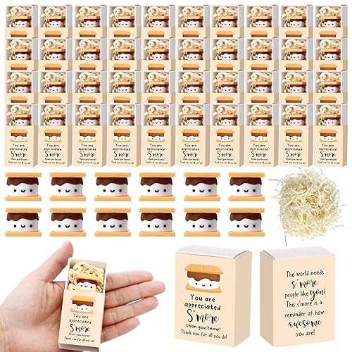 Wettarn 75 Sets Volunteers Appreciation Gifts S\u0027more Gifts Bulk Marshmallow with Box Office Party Favors Thank You Gift Rewards for Teacher Nurse Coworkers Staff Team Employee (Marshmallow)