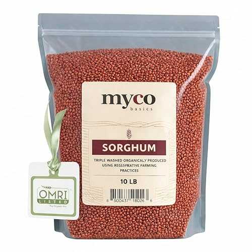 Mycology Basics - Organic Sorghum (20.0 lbs)