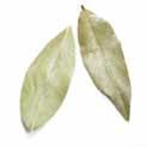 HRVST CHEF\u0027S MARKET D\u0027Allesandro Organic Bay Leaves, 1.5 薬局衡オンス, Premium Aromatic Herb for Mediterranean Cooking