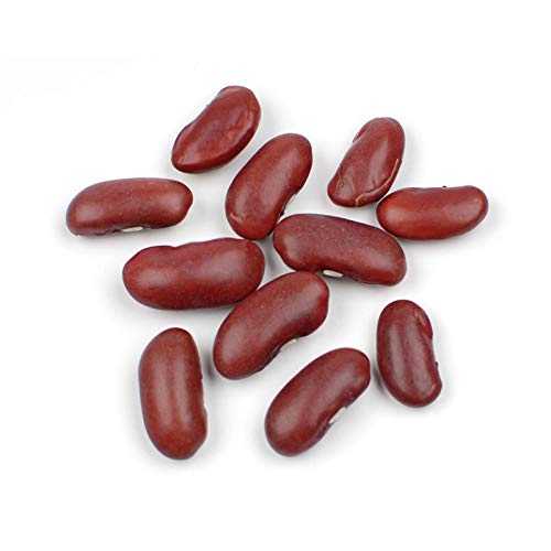 Dark Red Kidney Beans, 10 重量ポンド Bulk Dried Kidney Beans, Firm Texture \u0026 Mild Flavor, Ideal for Chili \u0026 Hearty Cooking by Woodland Gourmet