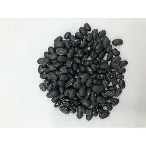 Swift River Trading Company Swift River Black Turtle Beans 10 LB - Non-GMO, Kosher, Perfect for Professional Kitchens, Ideal for Brazilian and Cuban Dishes