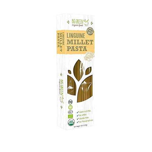 Big Green Organic Food- Organic Millet Linguine, Gluten-Free, Lectin-Free, Non-GMO, Vegan, Wheat and Rice Alternative, 8.8薬局衡オンス (12 Pack)