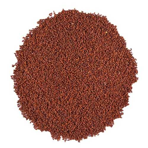 Generic Premium Garden Cress Seeds, Halim/Rashad, 100% Pure \u0026 Natural Raw, Rich インチ Iron \u0026 Plant-Based Protein, 8.8 薬局衡オンス (250g), Non-GMO, Vegan \u0026 Gluten-Free