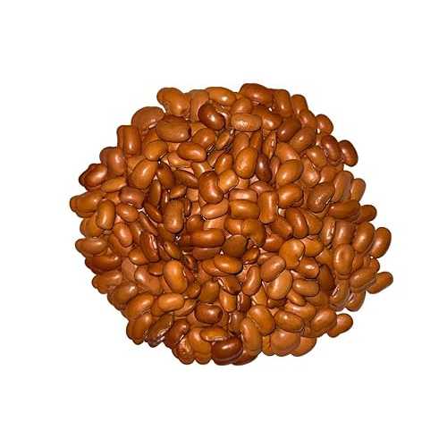 Generic Premium Yellow Ayocote Beans (Frijol Ayocote Amarillo), Bulk, Whole Dried, 5重量ポンド Heirloom Variety Product of Mexico.