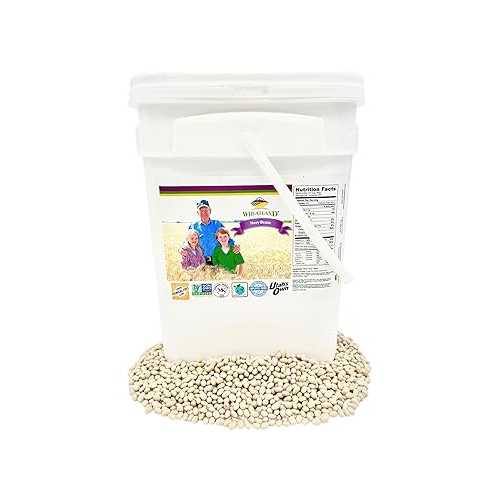 Wheatland Navy Beans, Dry Bulk, 20 重量ポンド, NON GMO, Chemical Free, USA Grown, 4 Gallon HDPE Bucket with Mylar Liner and Oxygen Absorber, Kosher, Gluten Free, 25 Year shelf life
