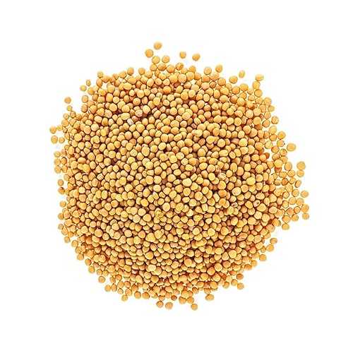 CZ Grain Bulk Whole Yellow Mustard Seeds (12 Ounces)