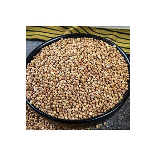 SODEF Cilantro 900g Herb Flavor Enhancer for Cooking, Garnish, and Culinary Use - One Size