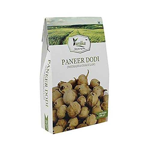 NWIL Yuvika Paneer DODI - Paneer Ke Phool - Withania Coagulan Packet of 250 gm Pack