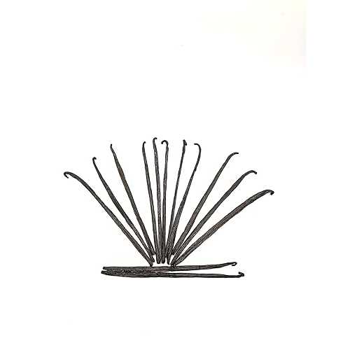 GREEN VANILLA Madagascar Vanilla Beans - Grade A 5\