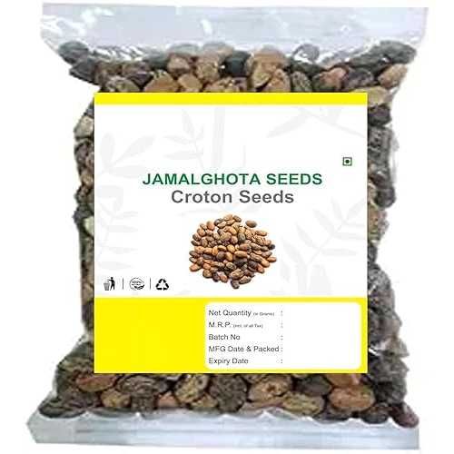 Generic Croton Tiglium - Jamalghota - 50 g (1.76薬局衡オンス) - Jamalghota Beej - Jamal Gota