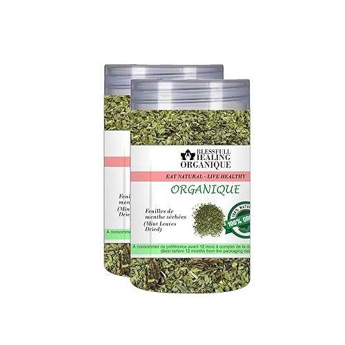 Blessfull Healing Organic Mint Leaves Dried 100 Gram (3.52 薬局衡オンス) Each (Pack Of 2) \u003d 200 Grams, Vegan