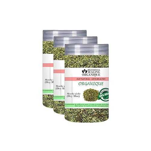 Blessfull Healing Organic Mint (Pudhina) 100 Gram (3.52 薬局衡オンス) Each (Pack Of 3) \u003d 300 Grams, Vegan