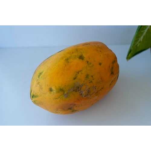 Fresh Delicious Red Papaya by RawJoy Farms, 1 Pound
