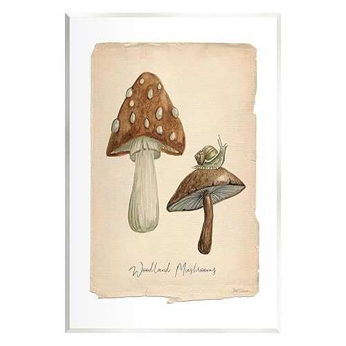 Stupell Industries Woodland Mushrooms \u0026 Snail Wall Plaque Art by Carol Robinson