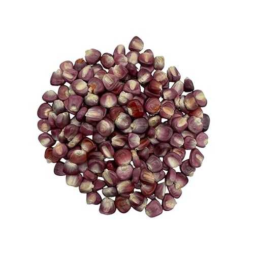 Premium Authentic Mexican Purple Hominy Corn (Ma・・z Pozolero Morado) - 5重量ポンド. Generic Premium Authentic Mexican Purple Hominy Corn (Ma z Pozolero Morado) 5重量ポンド.